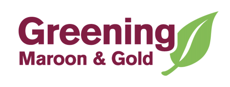 Greening Maroon & Gold
