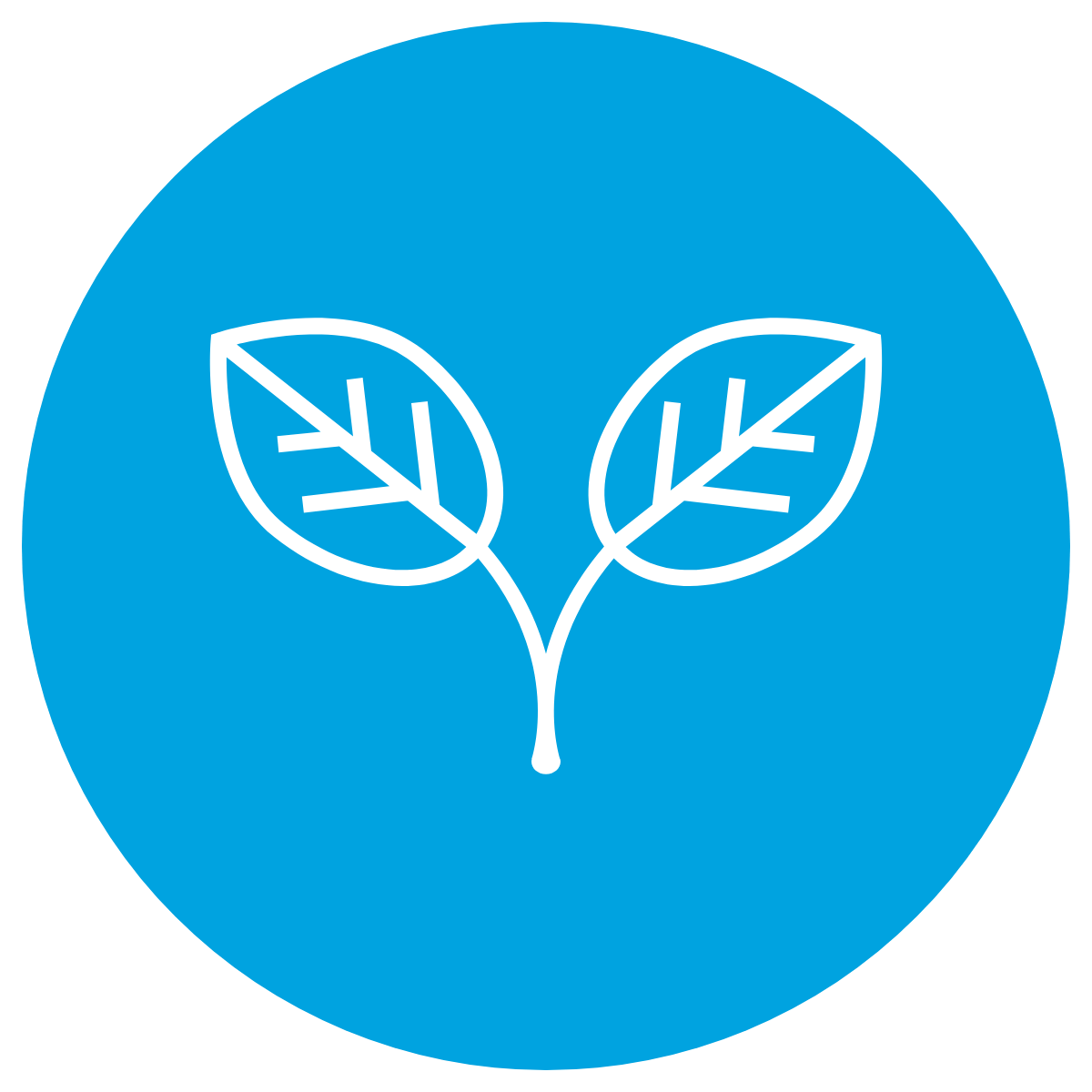Learning(Hu)Man Nature Walks Icon