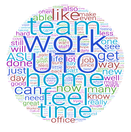 Culture survey word cloud